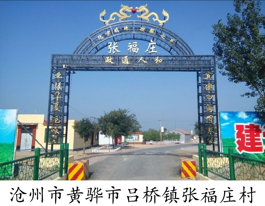 张福庄〔长门九支〕网络家谱工作纪实